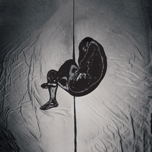 高级餐厅坐厕偷拍在线
