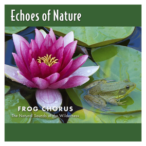 高级餐厅坐厕偷拍在线
